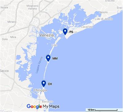 Multi-Year Concentrations, Health Risk, and Source Identification, of Air Toxics in the Venice Lagoon